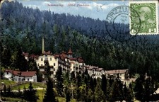 Ak Semmering in Niederösterreich,  Hôtel Panhans, Berge, Wald,  - 4926852