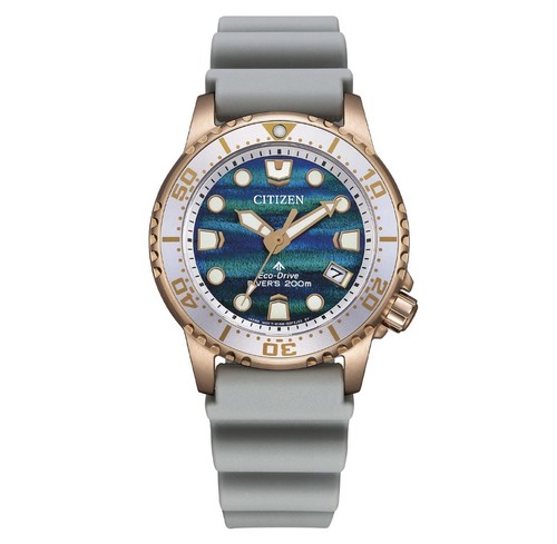 Citizen promaster eco drive - citizen,