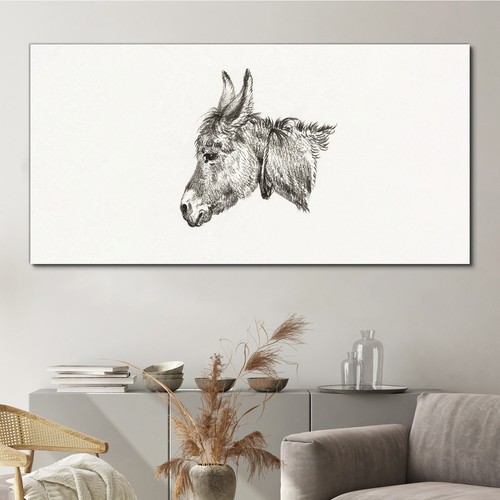 Zeichnung tier esel kunst - esel,