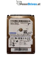 Samsung  HM321HI - 320 GB -