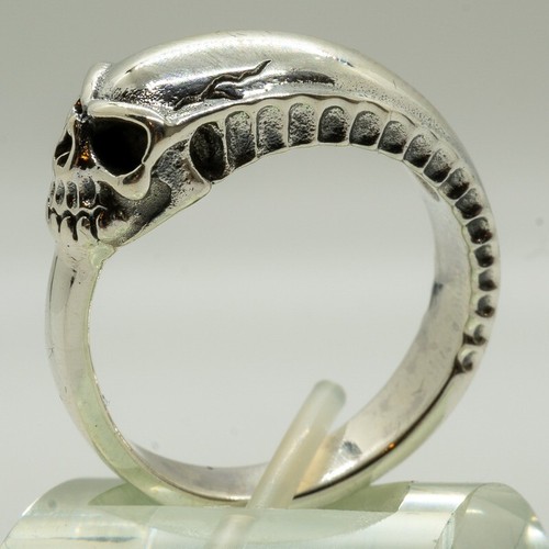 Ouroboros schlange frisst - ouroboros,