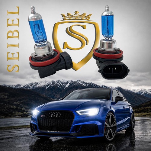 2er set h11 - set, xenon