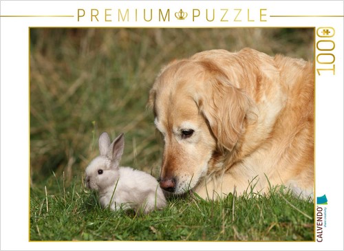 Calvendo puzzle ein motiv aus - calvendo,