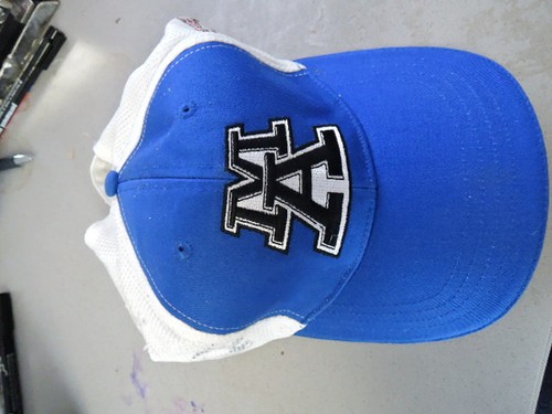 Adler mannheim eishockey - adler,