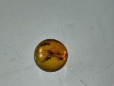 Bernstein  Kugel mit Mehreren