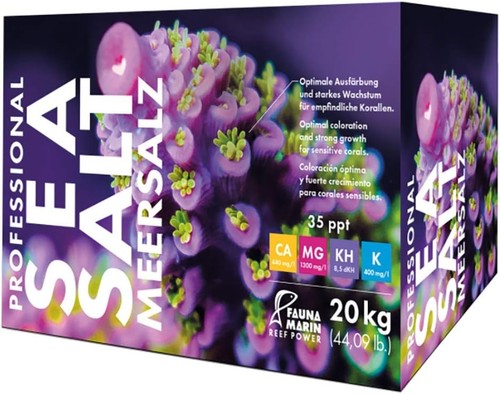 Fauna marin professional sea - fauna,