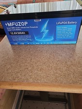 12V 300Ah Lithium Batterie LiFePO4 Akku 15000+ Zyklen Solaranlage Boot RV BMS