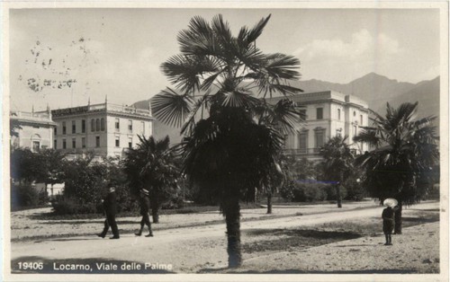 Locarno viale delle - -, palme