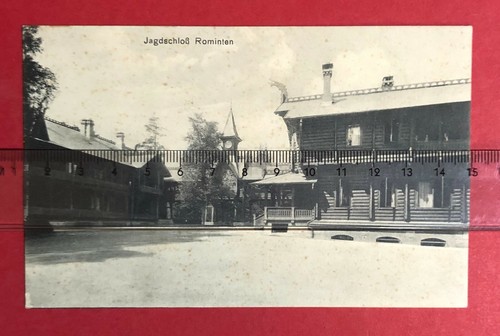 Rominter heide in - heide,