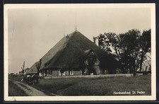 St. Peter / Nordsee, Reet