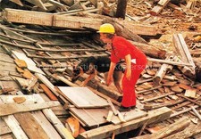 Schaeferhund Deutscher German Shepard allemand-- Bundesverband Rettungshunde