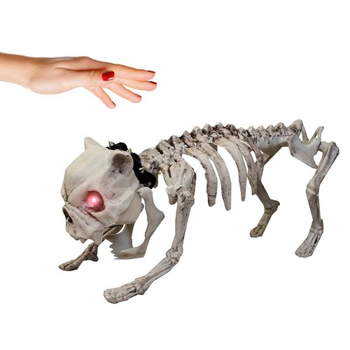 Halloween animiertes skelett - halloween,