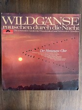 Wildgänse rauschen durch die