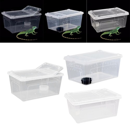 Reptilien zuchtbox als - zuchtbox,