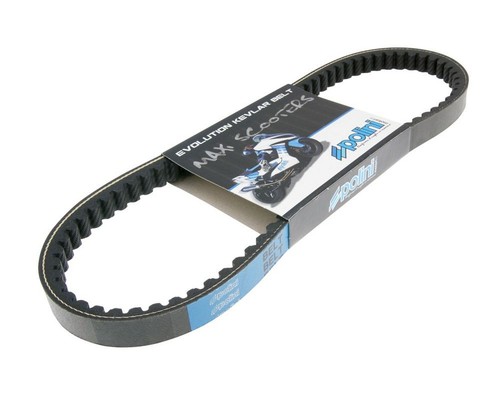 Keilriemen polini maxi - keilriemen, belt