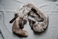 Echtpelz Silberfuchs Stola