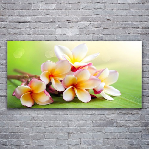 Leinwand bilder wandbild - leinwand-bilder,