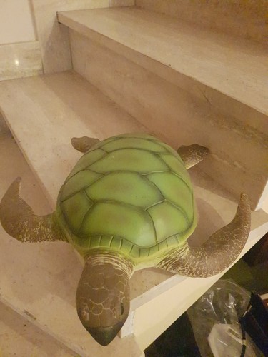 Riesenschildkröte spielzeug - riesenschildkröte,