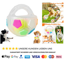 Hundespielzeug Ball mit Griff