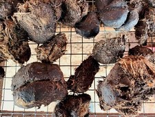 30 L Pferdedung abgelagert Bio Dünger Mist Rosen Gurken Tomaten Paprika Blumen