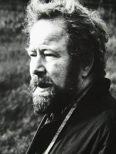 Franz josef degenhardt - franz,