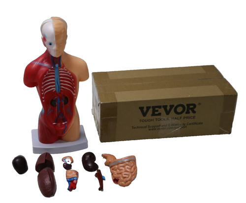 Vevor menschliches - vevor,