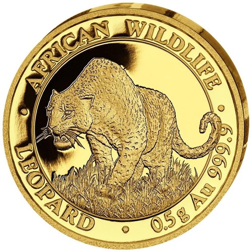 Goldmünze leopard african - goldmünze,