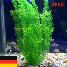 2X Aquariumpflanzen