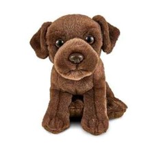 Labrador braun sitzend hund - labrador,
