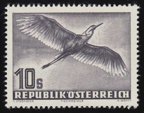 987 vögel graureiher - vögel,