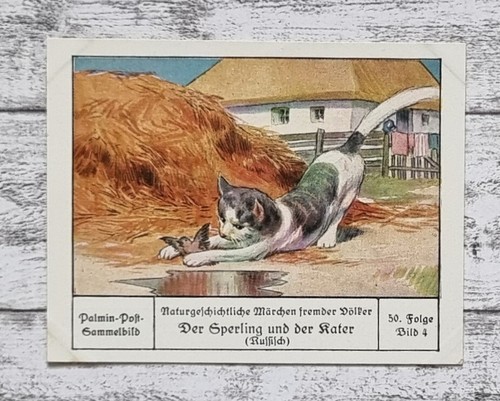 Sperling kater russisch - kater,