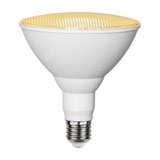 Star Trading LED PAR38