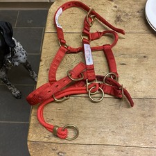 Monty Roberts doppeltes