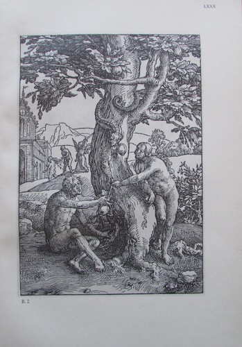 Lucas van leyden der - lucas,