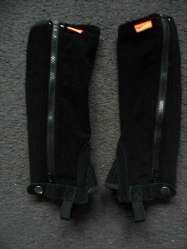 Goldhorse chaps reitchaps - chaps, /