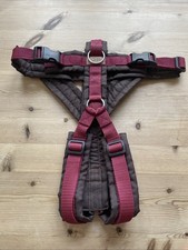 Geschirr Hund Beagletuff Braun