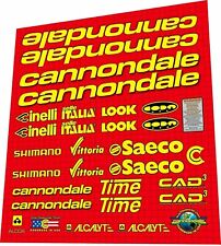 Cannondale CAD 3 SAECO frame  DECAL SET