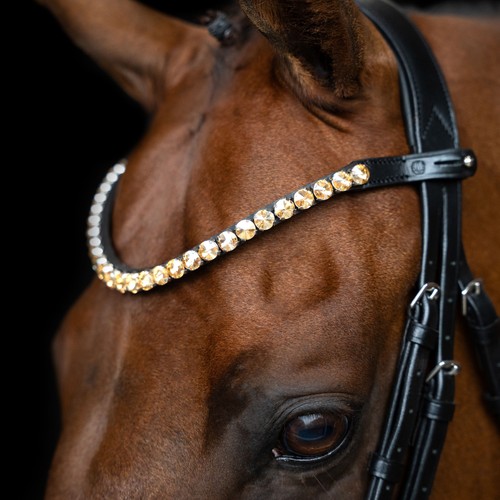 Imperial riding stirnriemen - imperial,