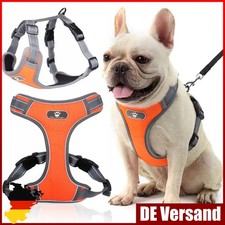 Hundegeschirr Katzengeschirr