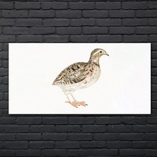 Zeichnung Tier Vogel Kunst