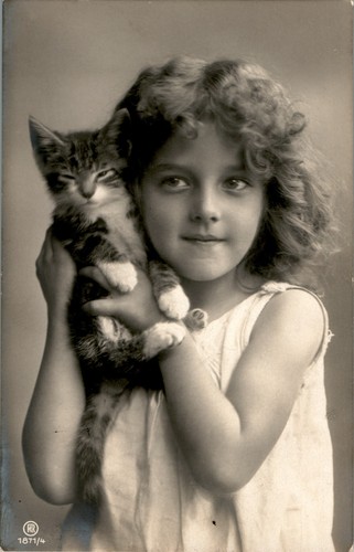 Katze katzen mit kind - katzen,