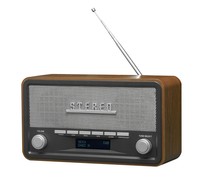 Inter Sales Denver DAB-18 Persönlich Analog & Digital DAB+ FM 87 5 108 MHz A ~D~