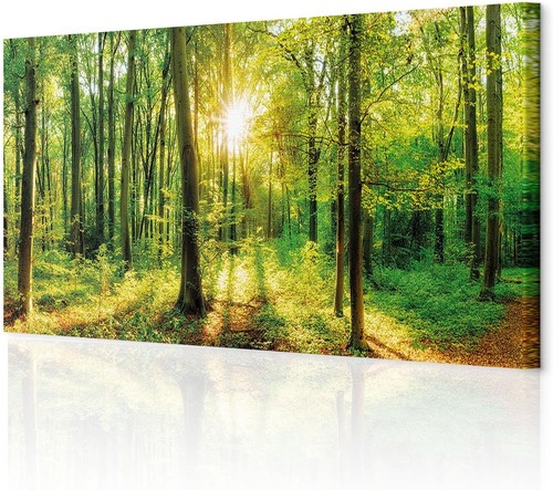 Decomonkey bilder wald 150x50 - decomonkey,