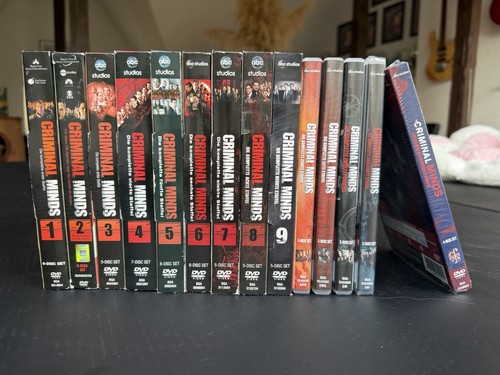Criminal minds dvd sammlung - minds,