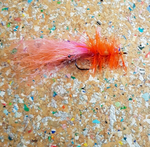 Shrimp garnele - 1, st.
