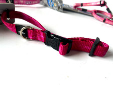 Rogz Hundehalsband