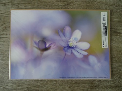 Ikea bomhus wandbild foto - ikea,