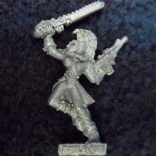 1988 Harlekin Trouper 13 Rogue