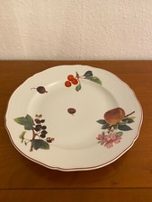 Richard Ginori Platte / Teller