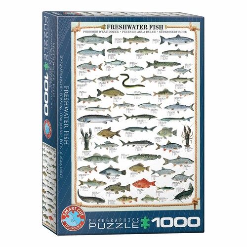 Eurographics puzzle - eurographics,